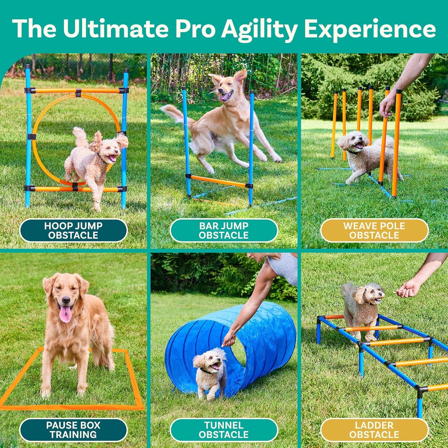 SwiftPaws Dog Agility Course Pro