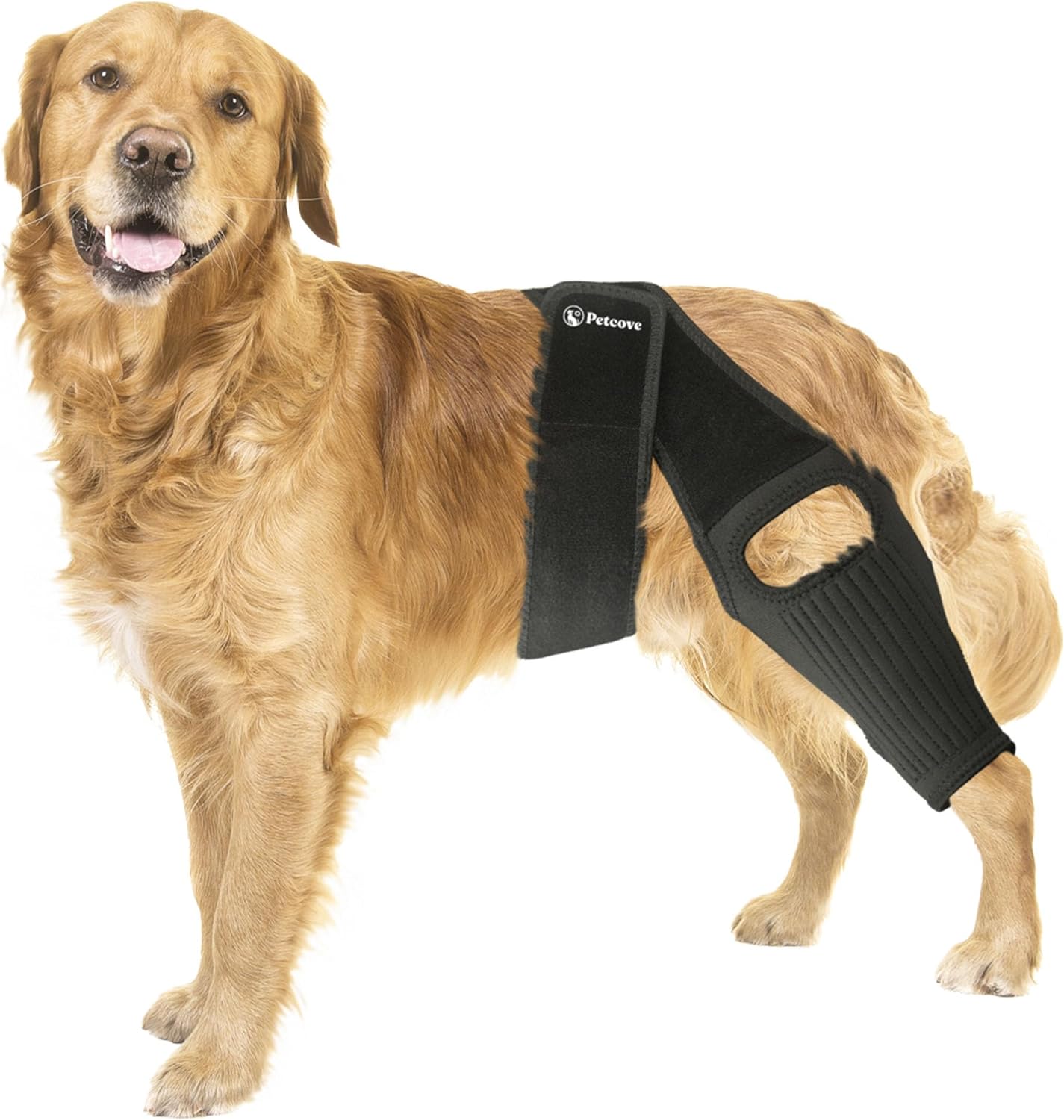 PawEase™  Knee Brace
