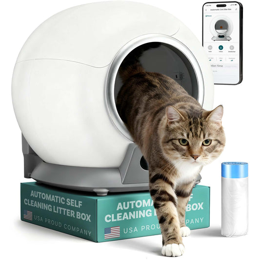 How to Train Your Cat to Use a Litter Box