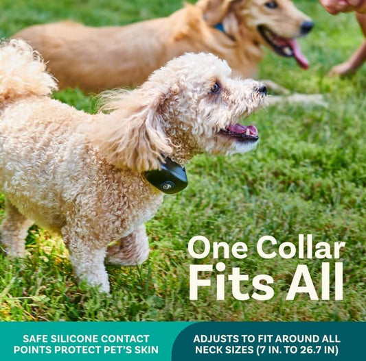 PawGuard™ Wireless Dog Fence