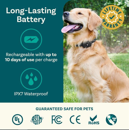 PawGuard™ Wireless Dog Fence