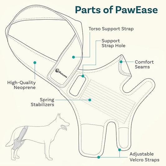 PawEase™  Knee Brace