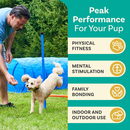 SwiftPaws™ Pro Dog Agility Course