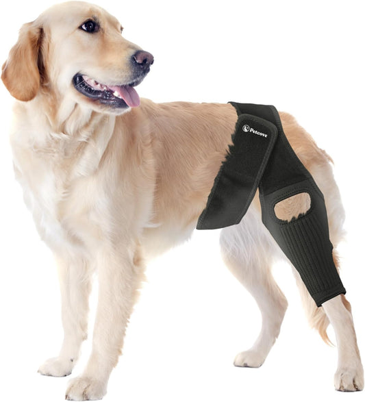 PawEase™  Knee Brace
