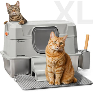 Best Litter Box for Cats: Top Picks for 2025