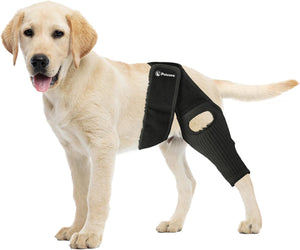 PawEase™  Knee Brace
