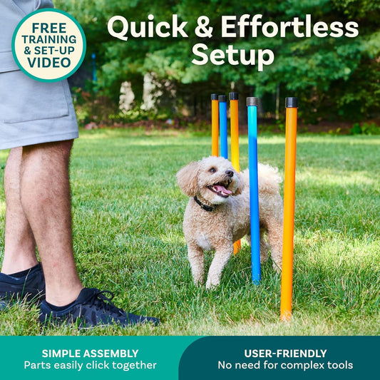SwiftPaws™  Dog Agility Course
