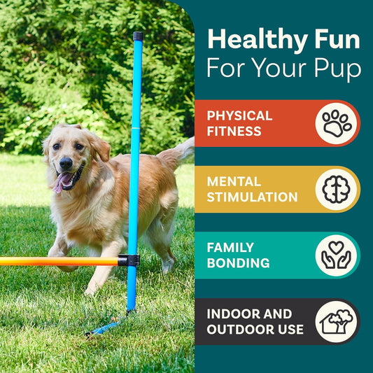 SwiftPaws™  Dog Agility Course